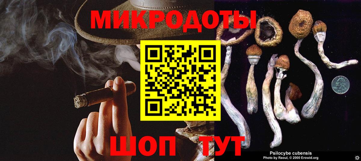 Галлюциногенные грибы Psilocybine cubensis Партизанск